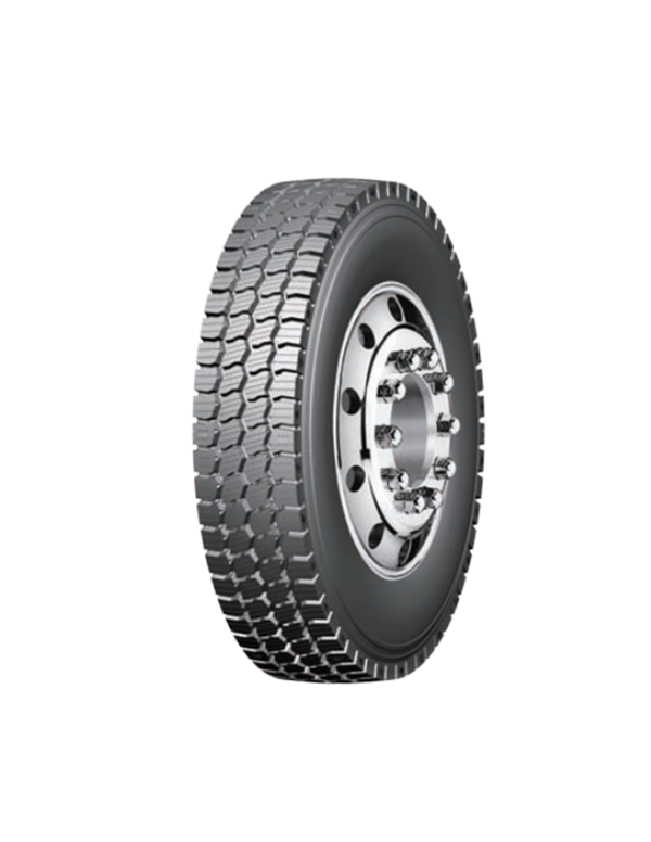 DOUBLE STAR Winter tyres DWD100