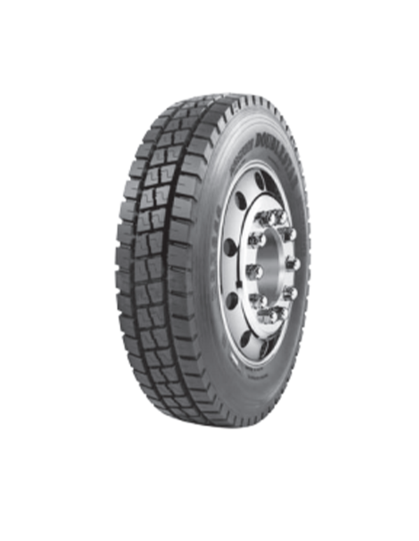 DOUBLE STAR Regional tyres DSR656